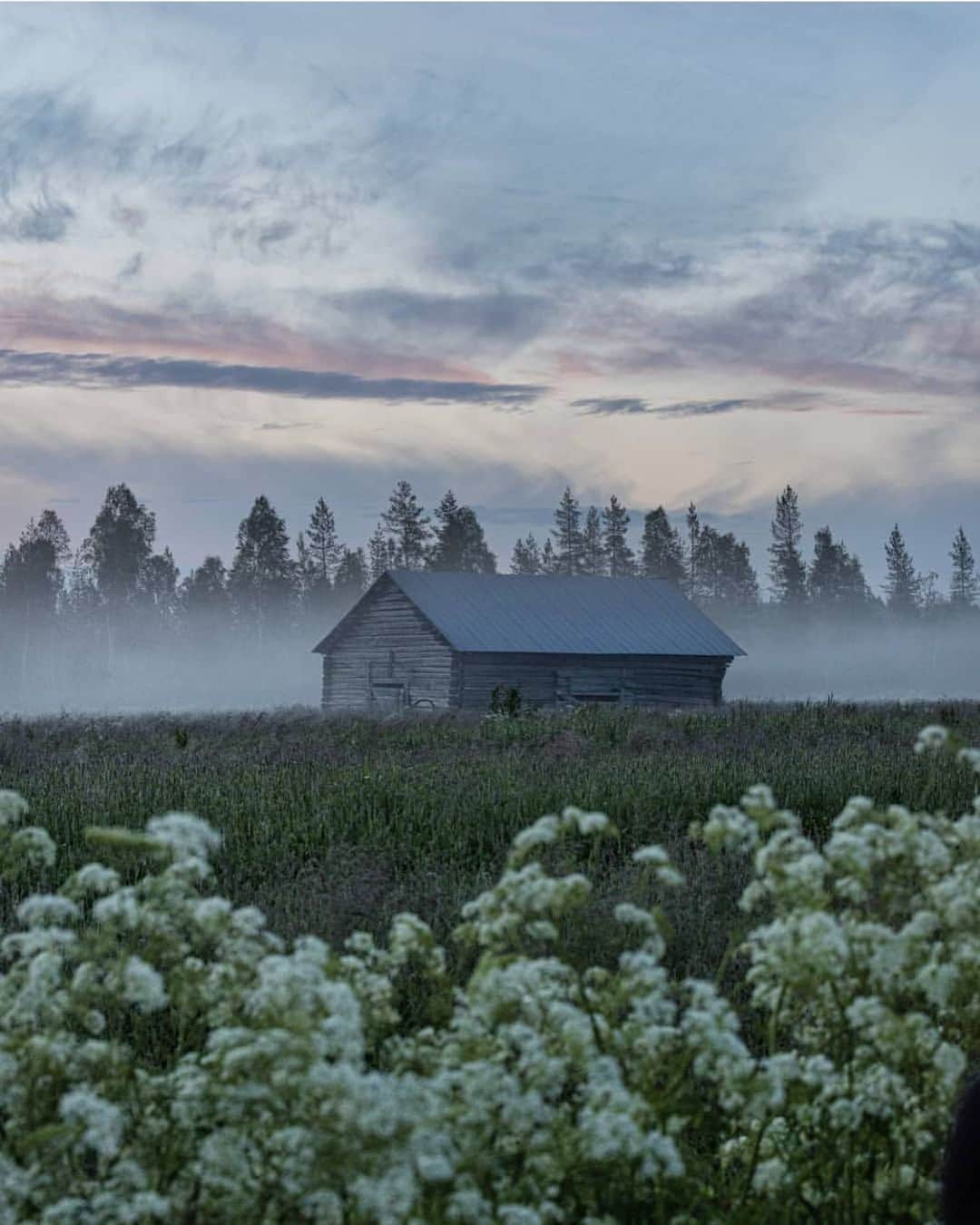 フィンランド政府観光局さんのインスタグラム写真 - (フィンランド政府観光局Instagram)「ラップランドの白夜。神秘的な夜はまだ2 〜3週間楽しめます。 ． @jarcce さんの写真。Kiitos！」7月8日 5時00分 - visitfinlandjapan