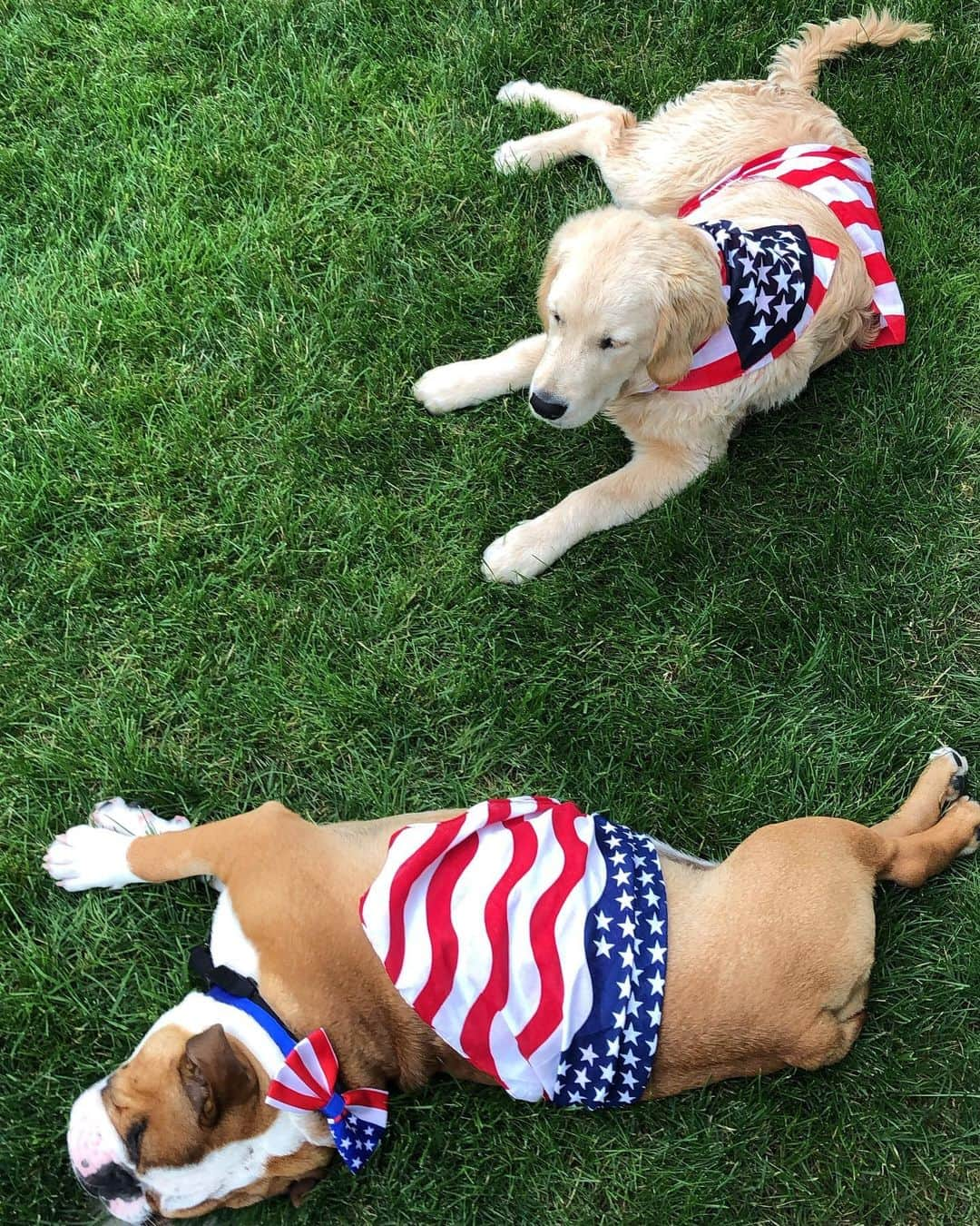 ノーマン・フォスターさんのインスタグラム写真 - (ノーマン・フォスターInstagram)「Memories of the Fourth of July - Churchill and Bentley .」7月8日 5時36分 - officialnormanfoster