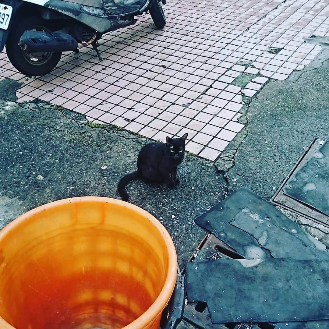 βさんのインスタグラム写真 - (βInstagram)7月8日 6時56分 - thanke311