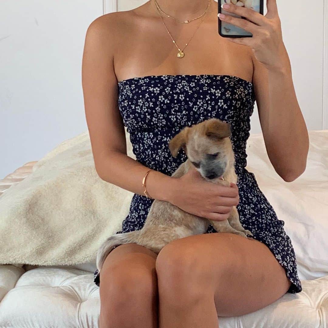 のインスタグラム：「someone adopt this precious angel」