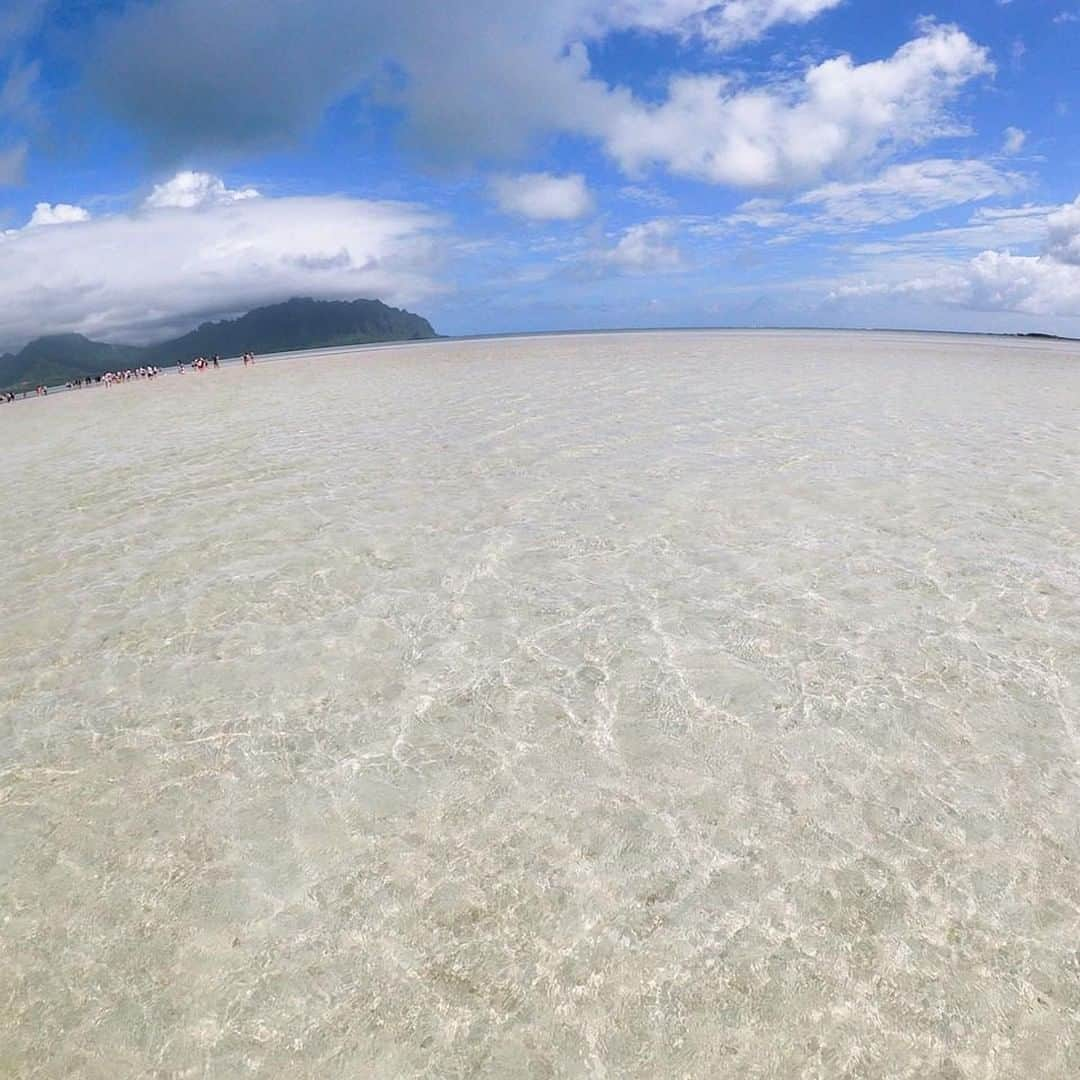 Luxury Cruise by Captain Bruceさんのインスタグラム写真 - (Luxury Cruise by Captain BruceInstagram)「🌴気持ちよさそう～⠀ ⠀ ⠀ ⠀ #captainbruce #sandbar #kaneohe #hawaii #oahu #oahulife #ahuolaka #キャプテンブルース #天国の海ツアー #天国の海 #アフオラカ #ハワイ大好き #絶景 #海」7月8日 7時08分 - cptbruce_hi