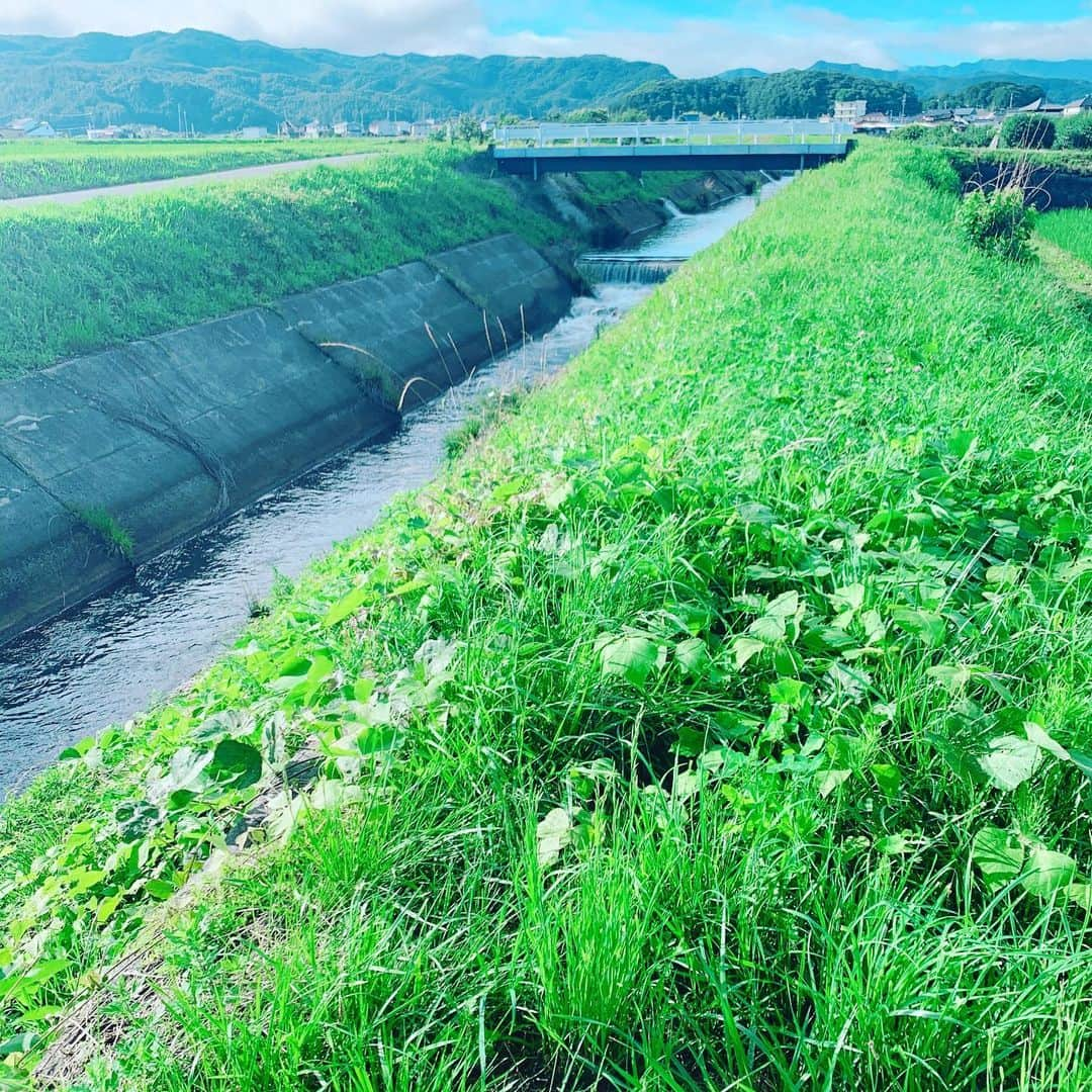 小林アナさんのインスタグラム写真 - (小林アナInstagram)「‪田舎。朝ラン。映え。‬ ‪おはようございます！‬」7月8日 7時24分 - genkobiribiri