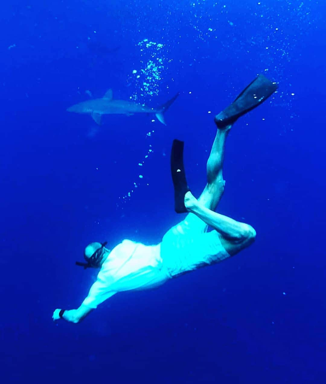 マヌ・ジノビリさんのインスタグラム写真 - (マヌ・ジノビリInstagram)「A couple more pics of the swim with the sharks. Loved it!! Would do it again, no doubt. The great @diawboris also making an appearance!」7月8日 7時32分 - manuginobili