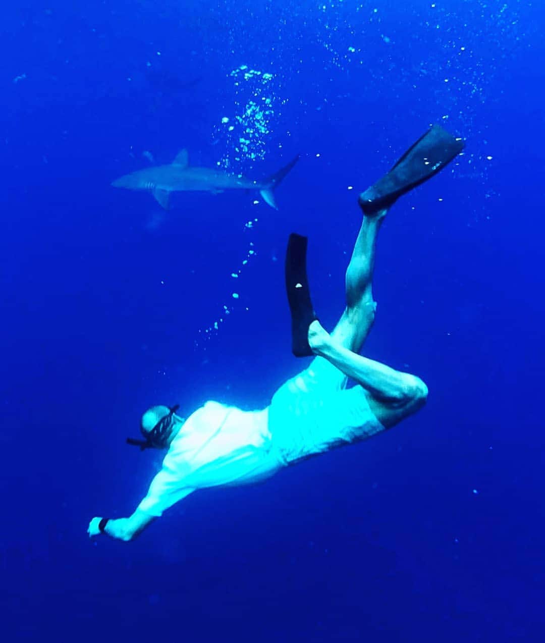 マヌ・ジノビリのインスタグラム：「A couple more pics of the swim with the sharks. Loved it!! Would do it again, no doubt. The great @diawboris also making an appearance!」