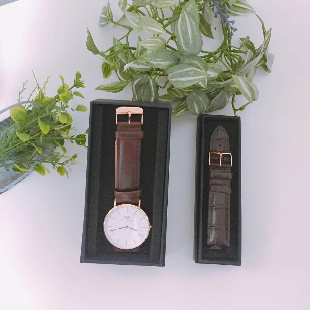 コテツさんのインスタグラム写真 - (コテツInstagram)「2019/7/8 @danielwellington  気分によって腕時計のベルトを自由に交換できます 自分で簡単に交換できました . ‪7月15日まで、DW夏期間限定キャンペーンが実施！‬ ＜腕時計とストラップの購入で20％OFF＞ ＜対象腕時計の購入でストラップ無料＞ ＜15%OFFクーポンコード併用可＞ . 15％OFFクーポンコード：kotetsu（‪8/30‬まで有効、公式サイト使用のみ） https://www.danielwellington.com/jp　 @danielwellington #ダニエルウェリントン #dwサマーオファー」7月8日 7時51分 - kotetuchan