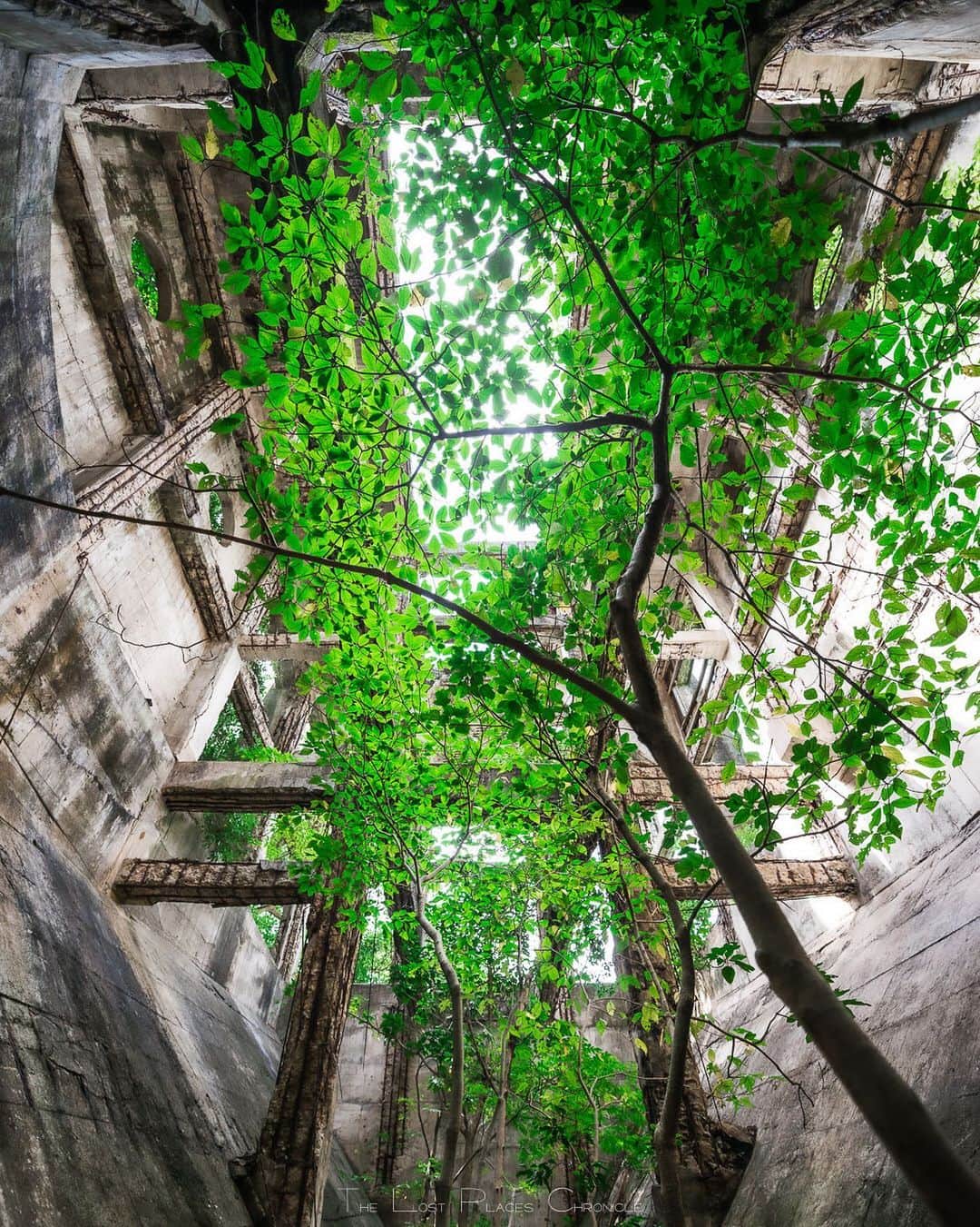 啝 （わ）のインスタグラム：「REBIRTH 𓆲 𓆲 𓆲 #廃墟 #Abandoned #AbandoniG #allabandoned #abandonedworld #Abandonedafterdark #abandoned_addiction #abandoned_greece #abandon_seekers_ #Abandoned_Excellence #abandonedcentral #beAlpha #discarded_butnot_forgotten #DECAY_iLLife #desertedplaces #ethereal_moods #grime_nation #grime_reapers #GoTrespassing #ig_urbex #Itsabandoned #KINGS_ABANDONED #renegade_abandoned #sombrexplore #urbex_supreme #urbex_regards #urbexplaces #urbex_disciple #urbex_utopia  #japan_urbex」