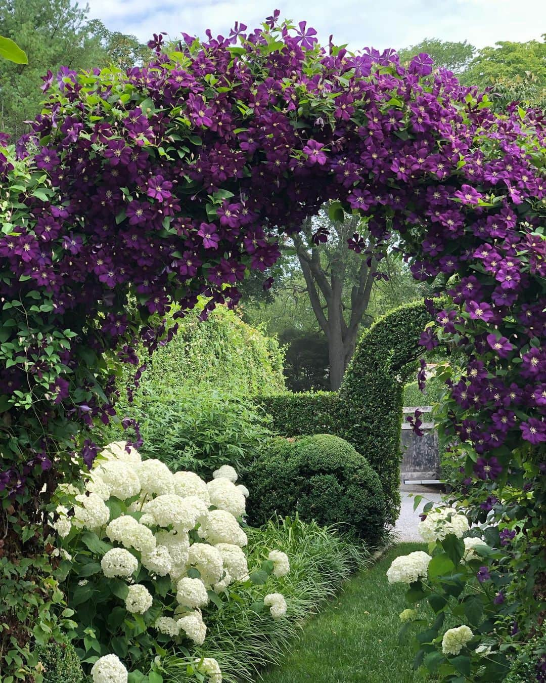 アイナ・ガーテンさんのインスタグラム写真 - (アイナ・ガーテンInstagram)「Down the garden path .. it’s always an adventure. #clematis #hydrangeas」7月8日 8時34分 - inagarten