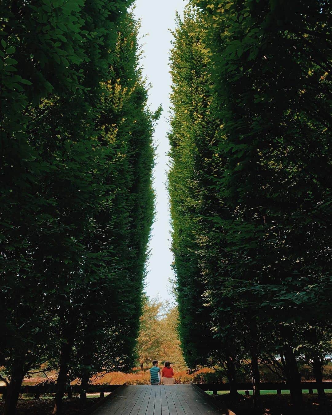 Paul Octaviousのインスタグラム：「🌲💙💔🌲」