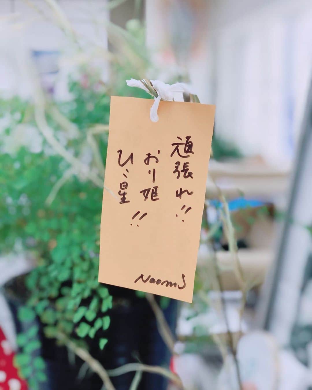 河瀬直美さんのインスタグラム写真 - (河瀬直美Instagram)「今年の短冊🎋 "Tanabata" celebrate for writing my wish this year.  #純愛  #願い  #遠距離」7月8日 9時37分 - naomi.kawase