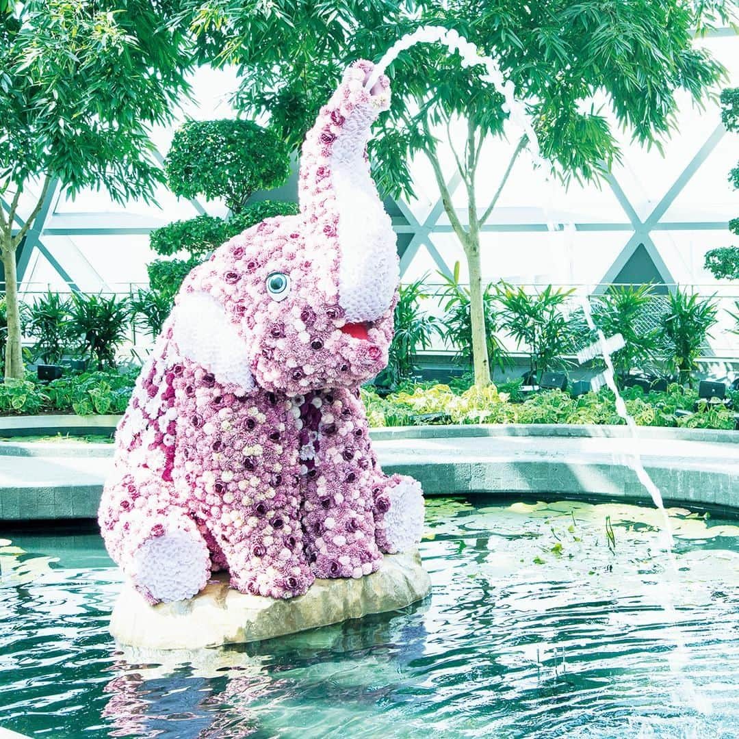 ブルータスさんのインスタグラム写真 - (ブルータスInstagram)「【珍奇植物★発売中】シンガポール・チャンギ空港。４つあるターミナルの中央に、今年４月に誕生した大型商業施設〈ジュエル・チャンギ・エアポート〉は万国の植物が共存する、新聖地。花々で装飾された象のオブジェ。これもまた“珍奇”。」7月8日 20時01分 - brutusmag