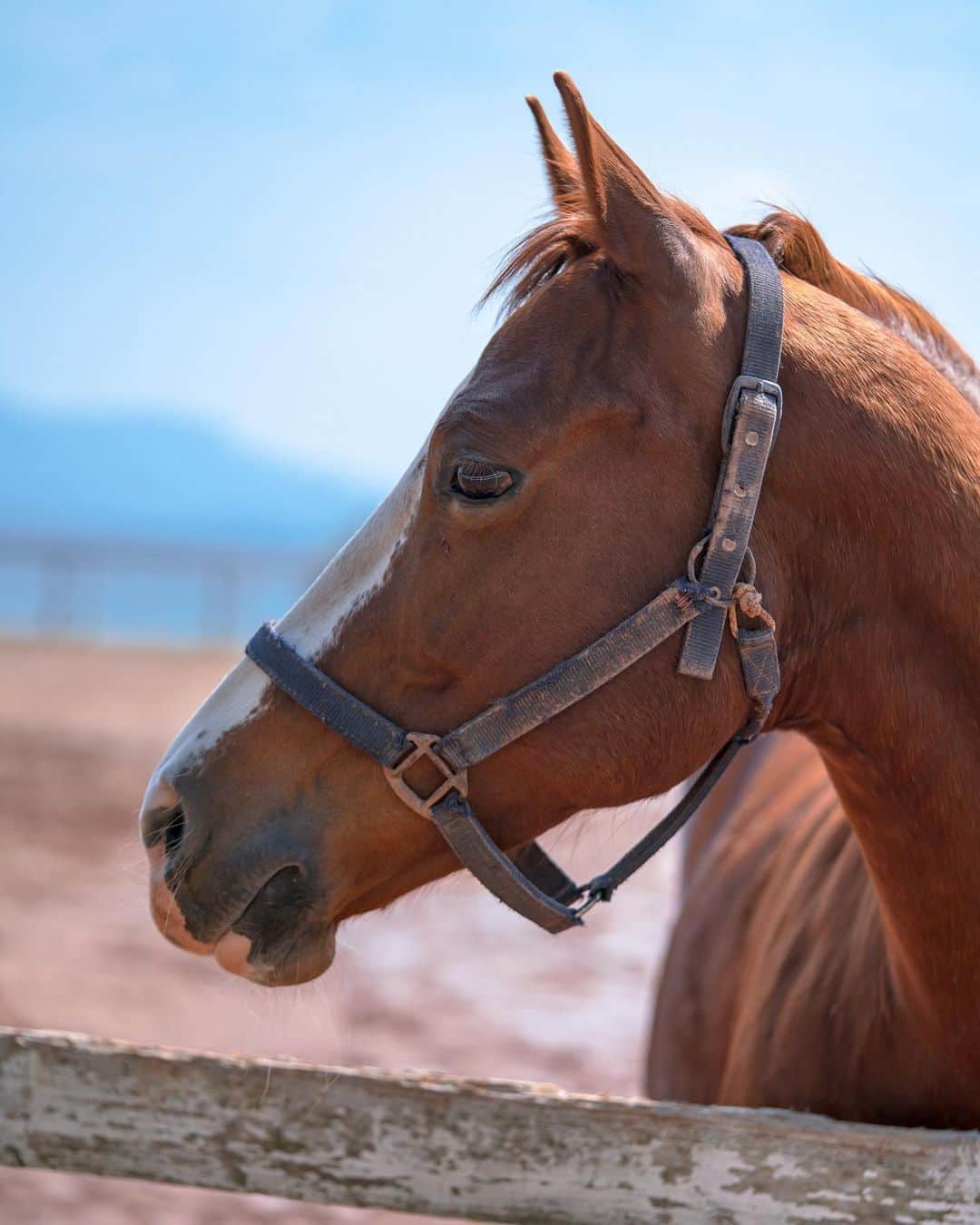 6151のグルメインスタ