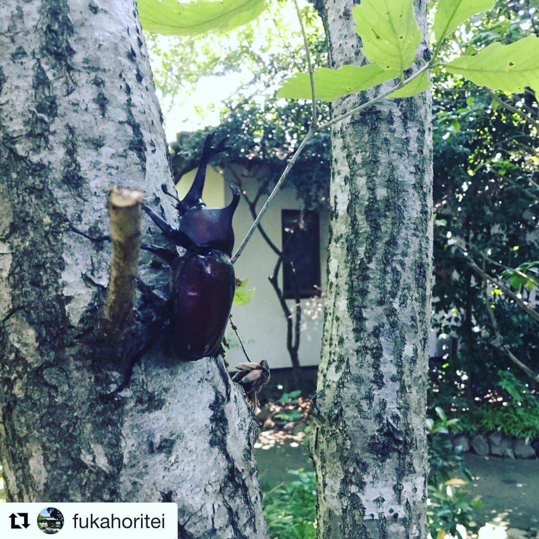 赤星拓のグルメインスタ