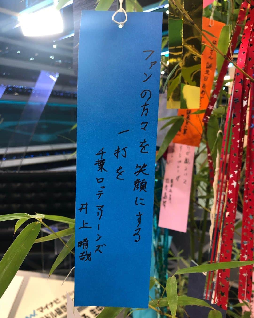 宮司愛海さんのインスタグラム写真 - (宮司愛海Instagram)「昨日のS-PARKは七夕ということで浴衣でお送りしました🎋谷繁さんはなんと人生初浴衣だそうで...！貴重なお姿でしたね✨  番組の中では全選手の皆さんのお願い事をご紹介できなかったのでこちらでいくつか...！ (書いていただいた全ての短冊は番組公式Twitterで紹介しています)  #SPARK #スパーク #七夕 #谷繁元信 さん #野村忠宏 さん #黒瀬翔生 アナ #宮西尚生 投手 #筒香嘉智 選手 #京田陽太 選手 #青木宣親 選手 #レアード 選手🍣 #井上晴哉 選手 #千賀滉大 投手」7月8日 16時08分 - manami_miyaji