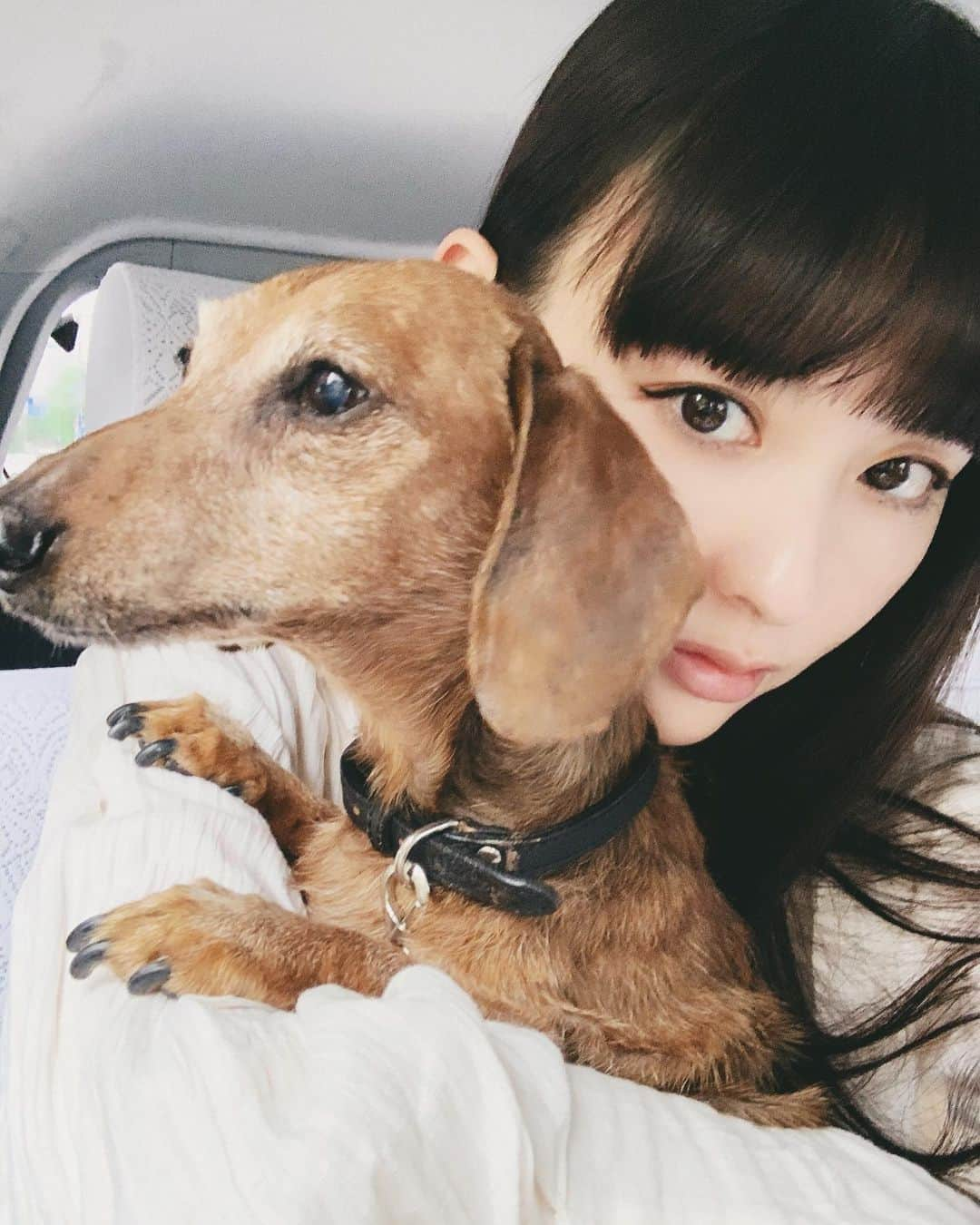 鈴木えみさんのインスタグラム写真 - (鈴木えみInstagram)「気づけばキーちゃんが15歳🐶 耳が遠くなって通院も増えたけど、食いしん坊っぷりは健在で相変わらずおしゃべりさん😊まだまだ元気に長生きしてね✨」7月8日 16時15分 - emisuzuki_official