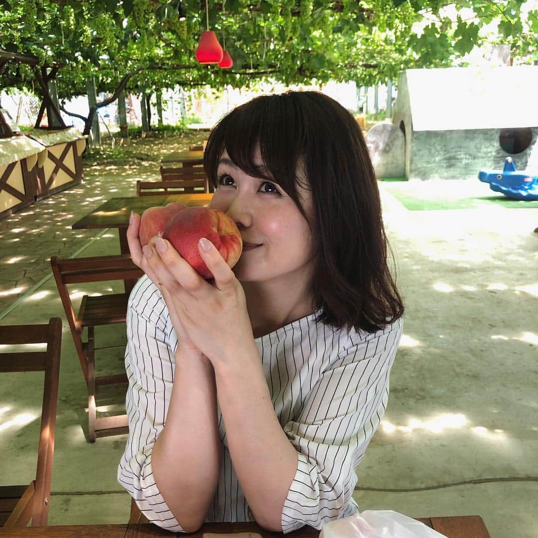 高井瑛子さんのインスタグラム写真 - (高井瑛子Instagram)「. . 「ナマ＋トク」の中継で 白根にある農園にお邪魔し、 収穫が始まったばかりの桃をご紹介しました。 . 私が持っているのは 「八幡白鳳」という品種の桃です。 . 収穫したては実が固く 糖度も低いということですが 皆さんの食卓に並ぶころには あま～～くて、美味しい ベストの状態になるそうです。 . . 桃の旬は9月ごろまでということです。 . この夏はたくさん桃を食べるぞ～🤤🍑💕 . . . ----------------------------------------- #新潟テレビ21 #アナウンサー #中継 #フルーツ童夢 #桃 #ナマトク #もぎたて #食べ放題 #白根 #フルーツ」7月8日 16時17分 - ux_takai.eiko