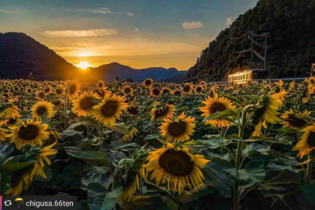 兵庫県のインスタグラム