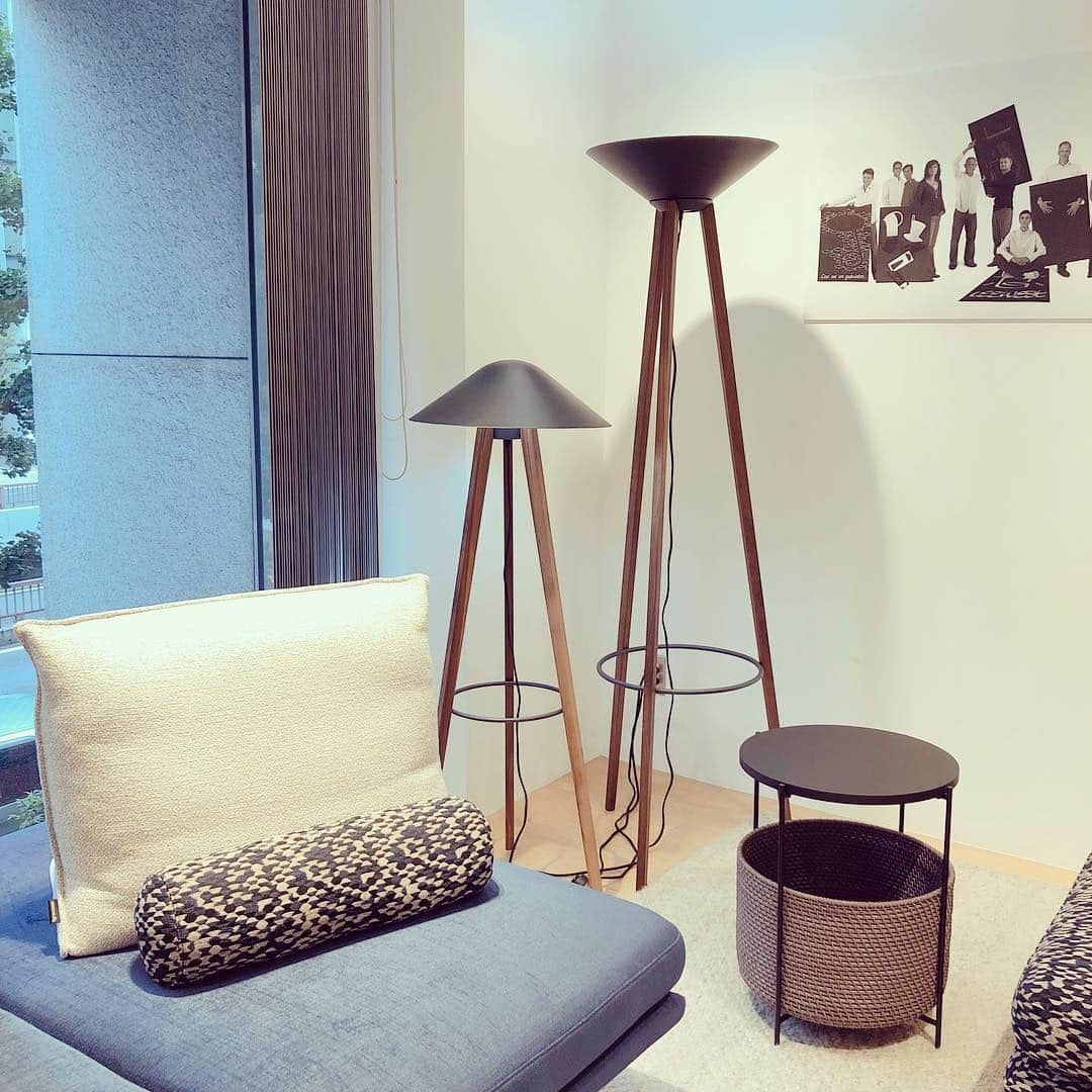 ligne roset shopさんのインスタグラム写真 - (ligne roset shopInstagram)「新商品の入荷です✨ フロアランプ&リーディングランプ #melusine #メルジーヌ #petermaly #ピーターマリー  フロアランプとリーディングランプです。 円錐形のシェードと三脚のベースから成ります。 ベースはウォルナット、シェードはスチール製です。  シェードのカラーは、ブラックとホワイトがあります♪  #ligneroset #リーンロゼ #lignerosetginza #リーンロゼ銀座 #家具 #furniture #インテリア #interior #インテリア好きな人と繋がりたい #フランス #france #照明 #ランプ #lighting」7月8日 16時32分 - ligneroset_jp_shop