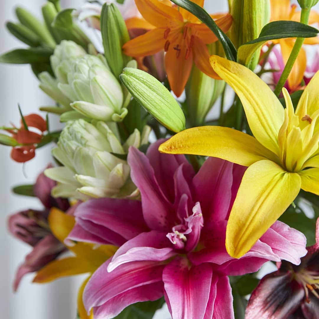 青山フラワーマーケットのグルメインスタ