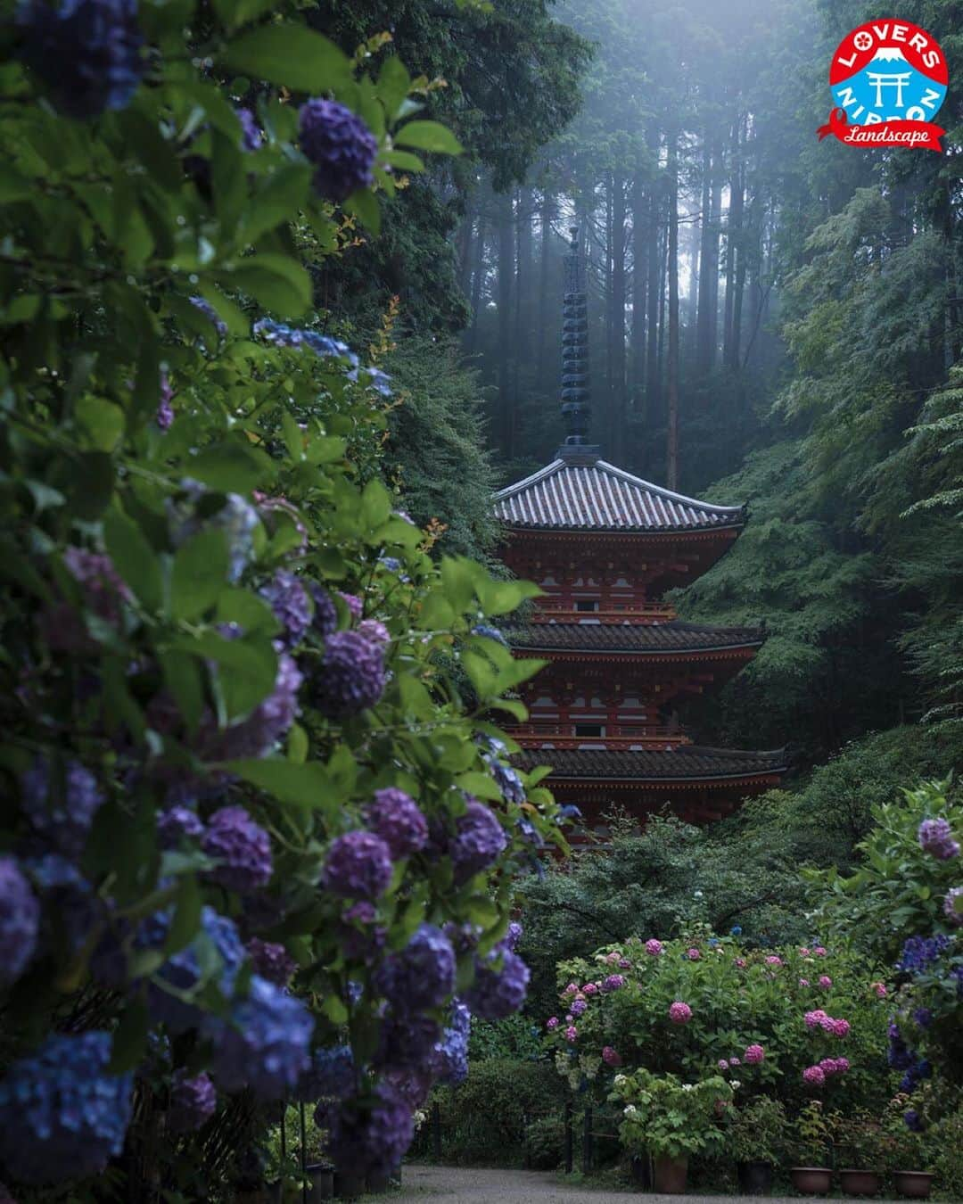 Only Japanese photographsさんのインスタグラム写真 - (Only Japanese photographsInstagram)「🇯🇵Today's best photo of Japan🇯🇵 Featured Artist : 🏆 @takaya212 🏆 Featured tag : #Lovers_Nippon Location : 京都(kyoto ,Japan) Photo selected : @nakashi726 ￣￣￣￣￣￣￣￣￣￣￣￣￣￣￣￣￣￣￣￣ 『お願い』  都道府県のみでも結構ですので必ず国内の撮影場所を明記ください。 風景【 #Lovers_Nippon 】 ポートレート【 #Lovers_Nippon_Portrait 】 アート【 #Lovers_Nippon_Artistic 】 ￣￣￣￣￣￣￣￣￣￣￣￣￣￣￣￣￣￣￣￣」7月8日 17時00分 - lovers_nippon