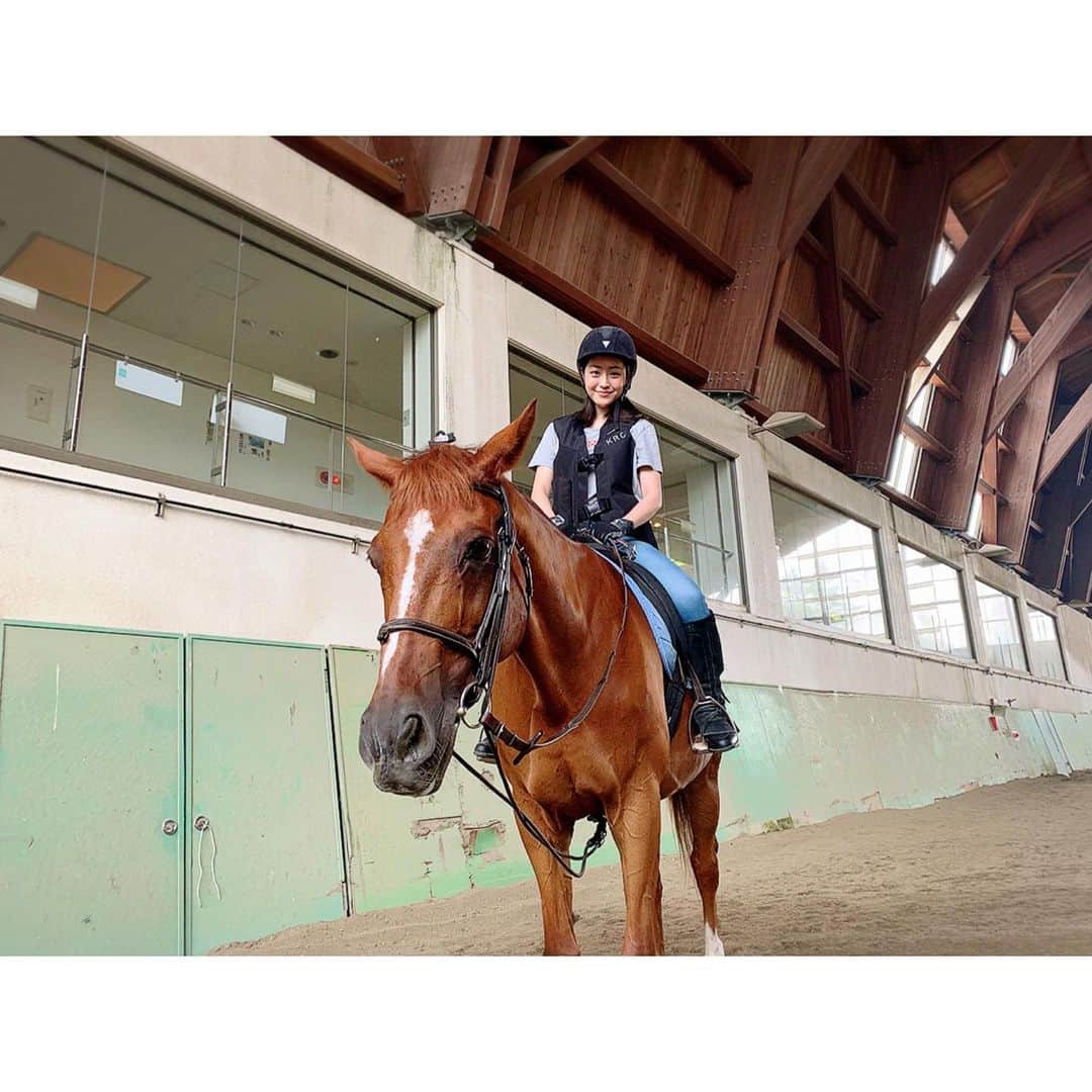 松浦雅さんのインスタグラム写真 - (松浦雅Instagram)「またまた乗馬教室へ🏇 今回は許可を得て、乗馬中の写真を撮って頂きました。 ここにいる子たちは、以前は競走馬として活躍していたそうです。 引退したらこういうところに来るんだね〜。 走ってる姿が可愛くて、乗りながらお馬の顔を見てしまう。 すると目線が下がるのでうまく走れなくなるのですが、ついついねぇ〜。 本当に、馬乗は心のセラピーになりますよ！ 馬と気持ちが通うのが分かるので、ほっこりして笑顔になります😊 今日はいつもの倍、1時間も乗りっぱなしだったので汗だく… でもコツはちょっと掴めたかも😏 ここはポニーもいて、子どもも大人も 気軽に乗馬体験できるので是非〜！ #ちなみにわたしが乗ってる子24歳で私と同い年 #神戸 #しあわせの村 #馬事公苑 #乗馬 #馬  #horse #horseriding #🐴 #🏇 #🐎」7月8日 17時09分 - m.miyabi614