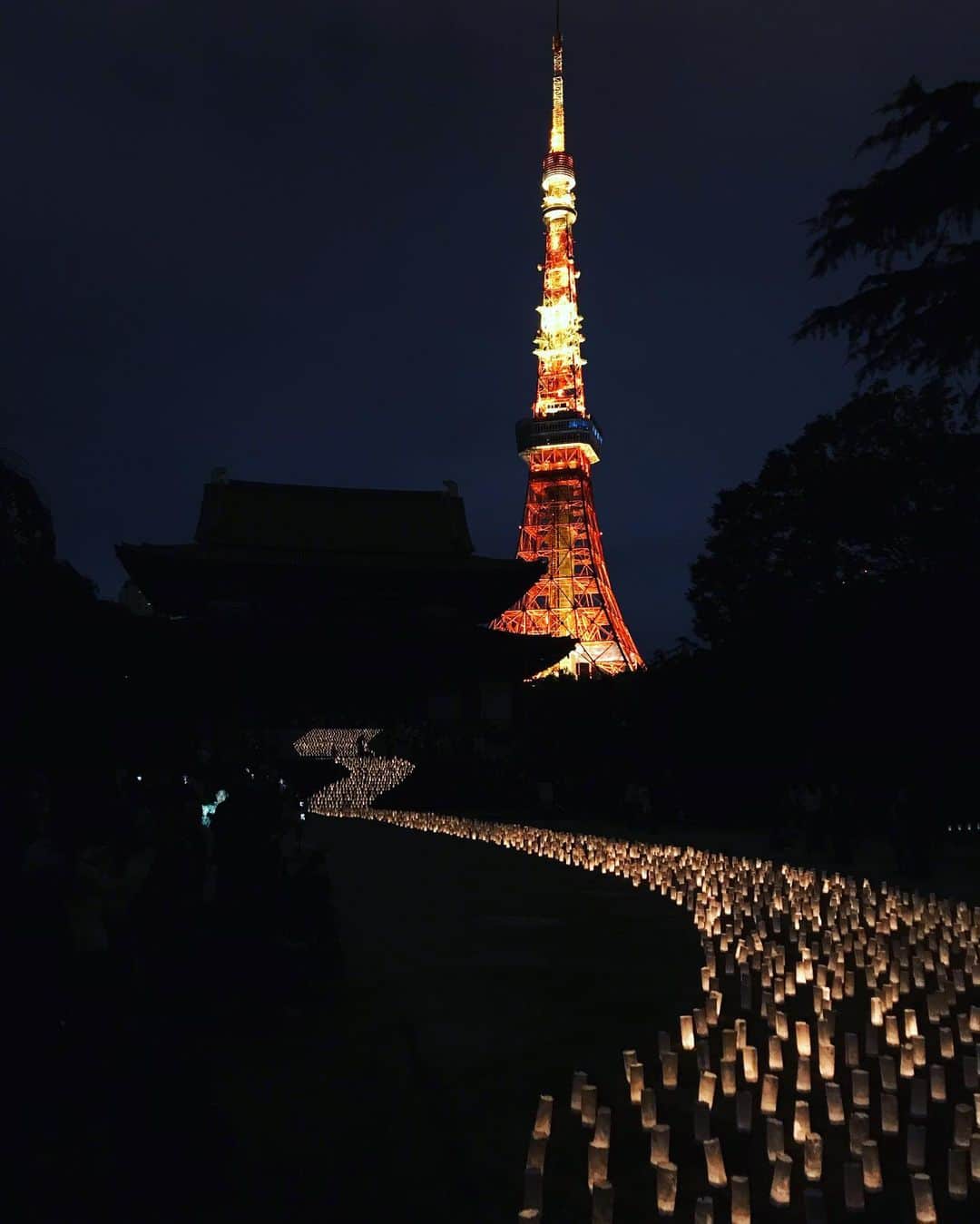 湯田友美さんのインスタグラム写真 - (湯田友美Instagram)「#tanabata 🎋 増上寺の七夕祭り。よ散歩で #和紙キャンドルナイト 見てきました。 はぁーきれいだった…🔦 ・ ・ 貴重な涼しい日ですね！ 走ってこよーっと😎 ・ #東京タワー #増上寺 #寺 #七夕 #祭り  #和紙キャンドルナイト2019 #和紙 #tanabata #🎋#tokyotower #zojyoji #beautifulnight #tokyo #stroll #🗼 #20190706 #20190707 🌟🌟」7月8日 17時43分 - yudatomomi