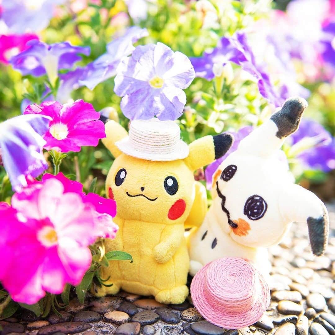 ピカチュウ公式Instagramさんのインスタグラム写真 - (ピカチュウ公式InstagramInstagram)「【今日のピカチュウ】 ミミッキュといっしょにお出掛けチュウ🎶 きれいなお花が咲いているね🌼✨ #pikachu #mimikyu #pokemon #pikachu_snap #photooftheday #hat #flower #flowers #sunny #ピカチュウ #ミミッキュ #ポケモン #帽子 #お出掛け #散歩 #花」7月8日 18時00分 - pokemon_jpn