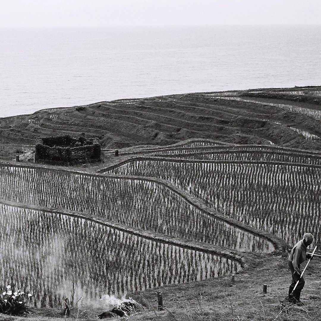 のインスタグラム：「農夫 - A farmer / Nikon F3 & ILFORD XP2 + Snapseed, 20190709 . . . . #royalsnappingartists #infamous_family #rsa_main #infinity_photo_cult #2_fineart #jp_gallery #jp_gallery_bnw #trb_bnw #wp_bnw  #bnw_life #bnwlife_member #bnw_life_shots #bnw_captures #world_bnw #top_bnw #team_jp_ #team_jp_モノクロ #ig_energy_bw #ig_nihon #streetphotographybnw #igersjp #blackandwhite #bnw #bnwphoto #monochrome #bw #bnwphotography #ShotOniPhone #shotoniphoneXR」