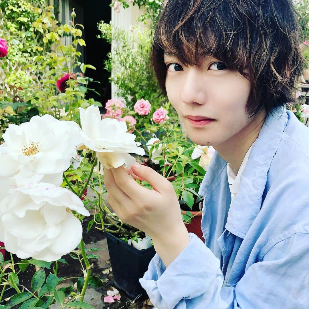 櫻井圭登のインスタグラム：「皆さん、こんにちは。 櫻井圭登と申します。  この度、 Instagram始めさせて、頂く事になりました！ 色々な事を投稿していこうと思います。  どうぞ、宜しくお願いします！  #櫻井圭登」