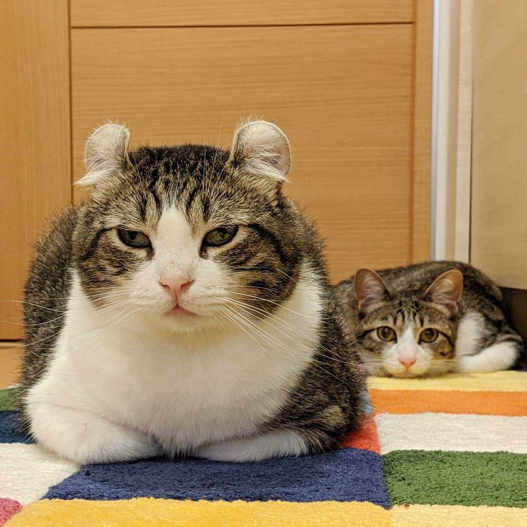 スノーのインスタグラム