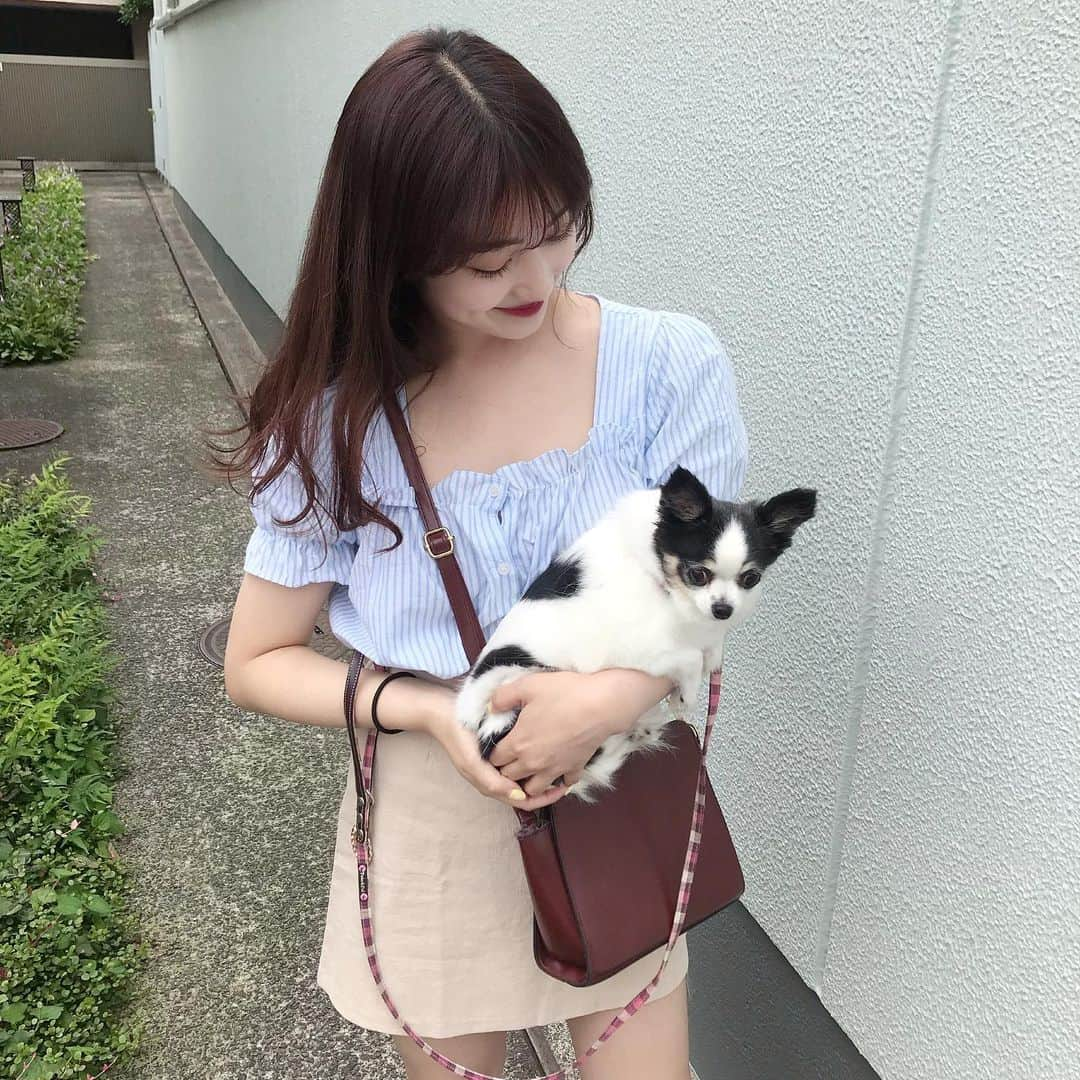 河﨑莉奈さんのインスタグラム写真 - (河﨑莉奈Instagram)「ベニたんと久しぶりにお出かけ🐶♡ 梅雨はやく過ぎるといいね💭  お洋服は上下とも @envylook_japan だよ🍒」7月8日 19時05分 - rinya5588