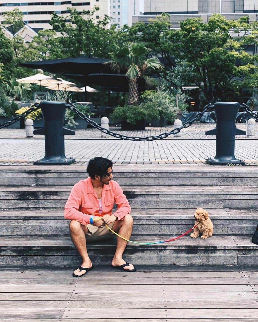 小塚源太のインスタグラム：「hey buddy🧸✌🏽 おさんぽ闇練開始w #buddy #toypoodlepuppy」