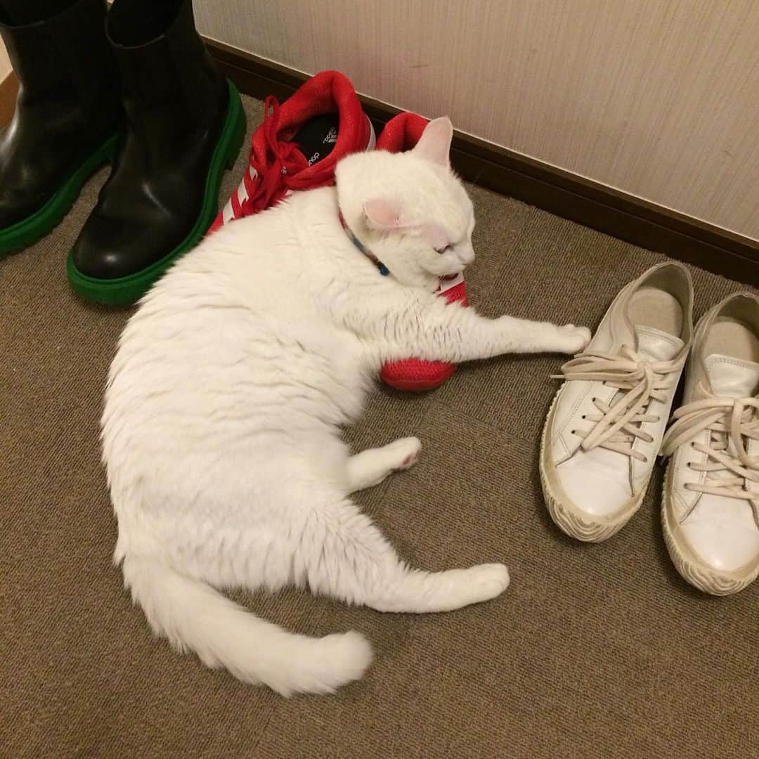 岡田屋鉄蔵のインスタグラム：「おや〜？」