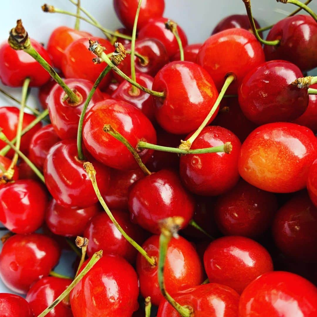 ティーナ・カリーナのインスタグラム：「事務所にさくらんぼがー🍒 争奪戦😆✨ ごちそうさまでした‼️ #さくらんぼ #旬 #紅秀峰」