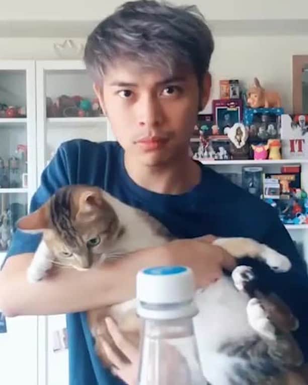 のインスタグラム：「I know kung fur⠀ ⠀ 📹@duchicat⠀ ⠀ #meowed #duchicat #tabby #bottlecapchallenge #肚臍是隻貓」