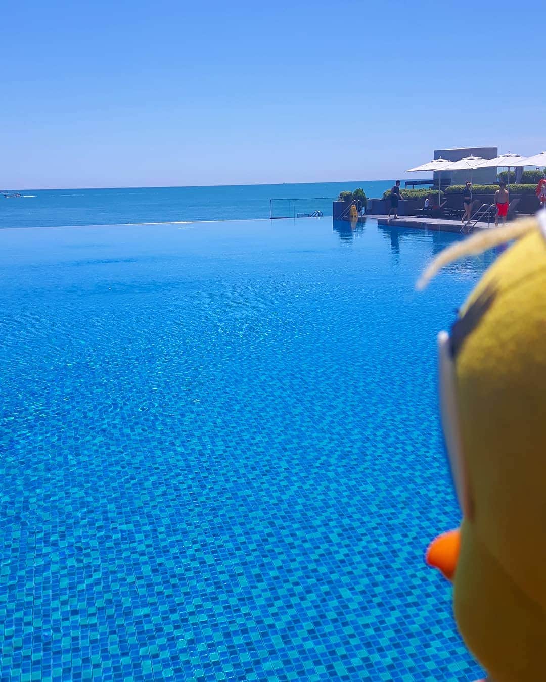 Little Yellow Birdさんのインスタグラム写真 - (Little Yellow BirdInstagram)「I'm having a serious case of the Mondays...so lets give good old escapism a go, and pretend I'm back in Busan, South Korea, in this stunning pool! #littleyellowbird #tweety #tweetykweelapis #adventures #yellow #bird #monday #mondayblues #mondayssuck #startoftheweek #blue #escapism #busan #southkorea #pool #bluesky #bluewater #stuffedanimalsofinstagram #plushiesofinstagram」7月8日 21時45分 - tweetykweelapis