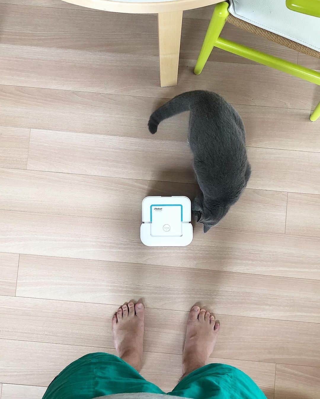 tomonashiのインスタグラム
