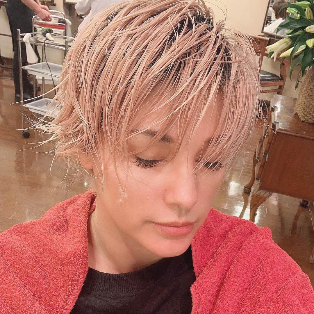梅宮アンナさんのインスタグラム写真 梅宮アンナinstagram 出来上がり さて そろそろカラーリングに行こう 古川カット 恵比寿フレンチヴォーグ Shorthair 7月8日 22時18分 Annaumemiya
