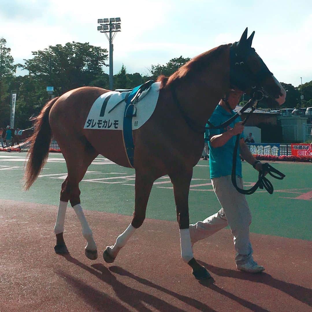 田上よしえさんのインスタグラム写真 - (田上よしえInstagram)「初めての大井競馬場🥰 至近距離の馬凄かったー！！！ しかしパドックでずっとガン見してたが全然当たらず。。 いつか来る馬が分かる様になるのかな？🙃 #競馬  #大井競馬場  #馬かわいい」7月8日 22時36分 - tanoueyoshie