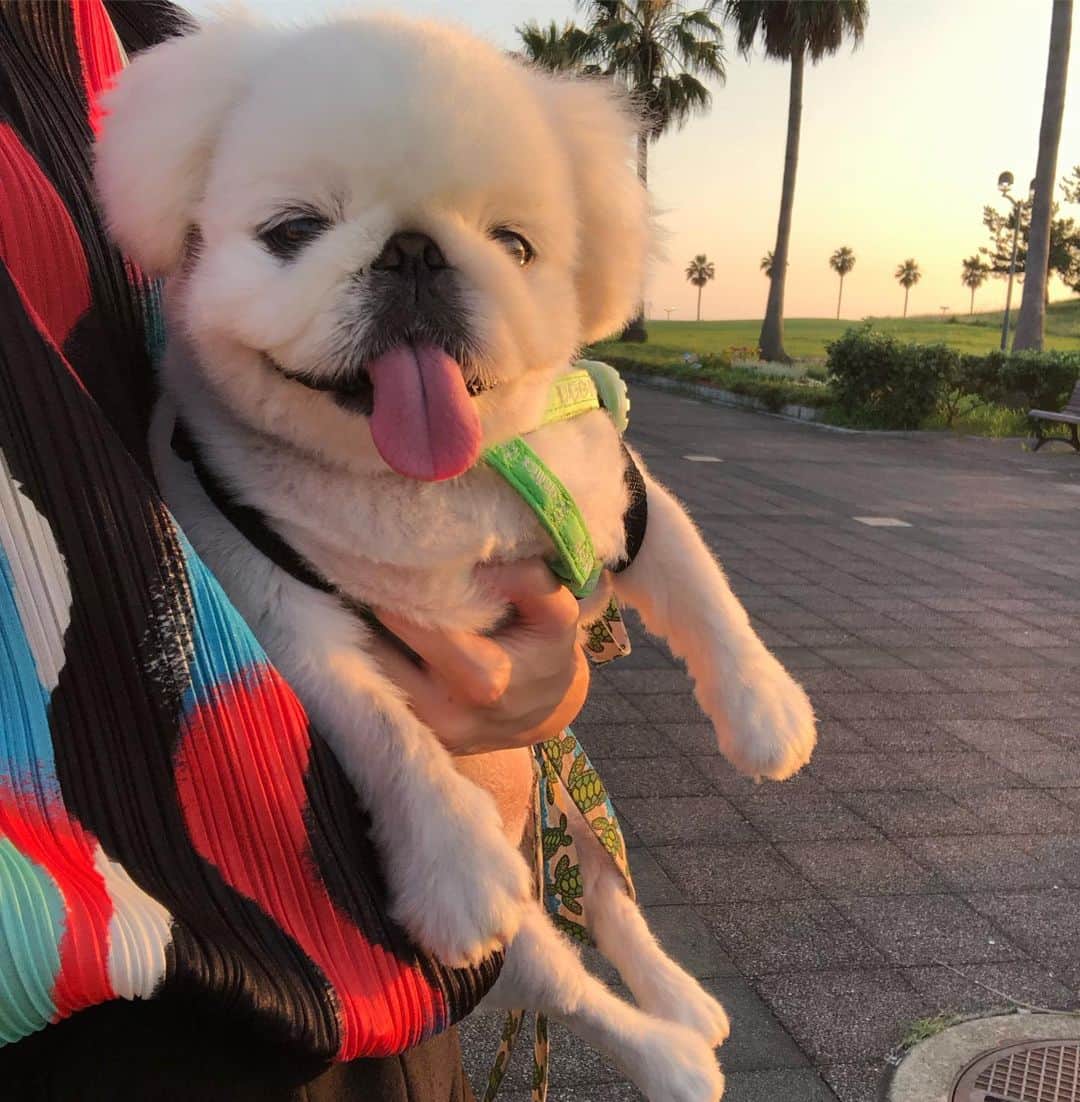 こなつのインスタグラム：「夕日みてきたよーん☺️🧡☺️💛 #instalove  #sunset」