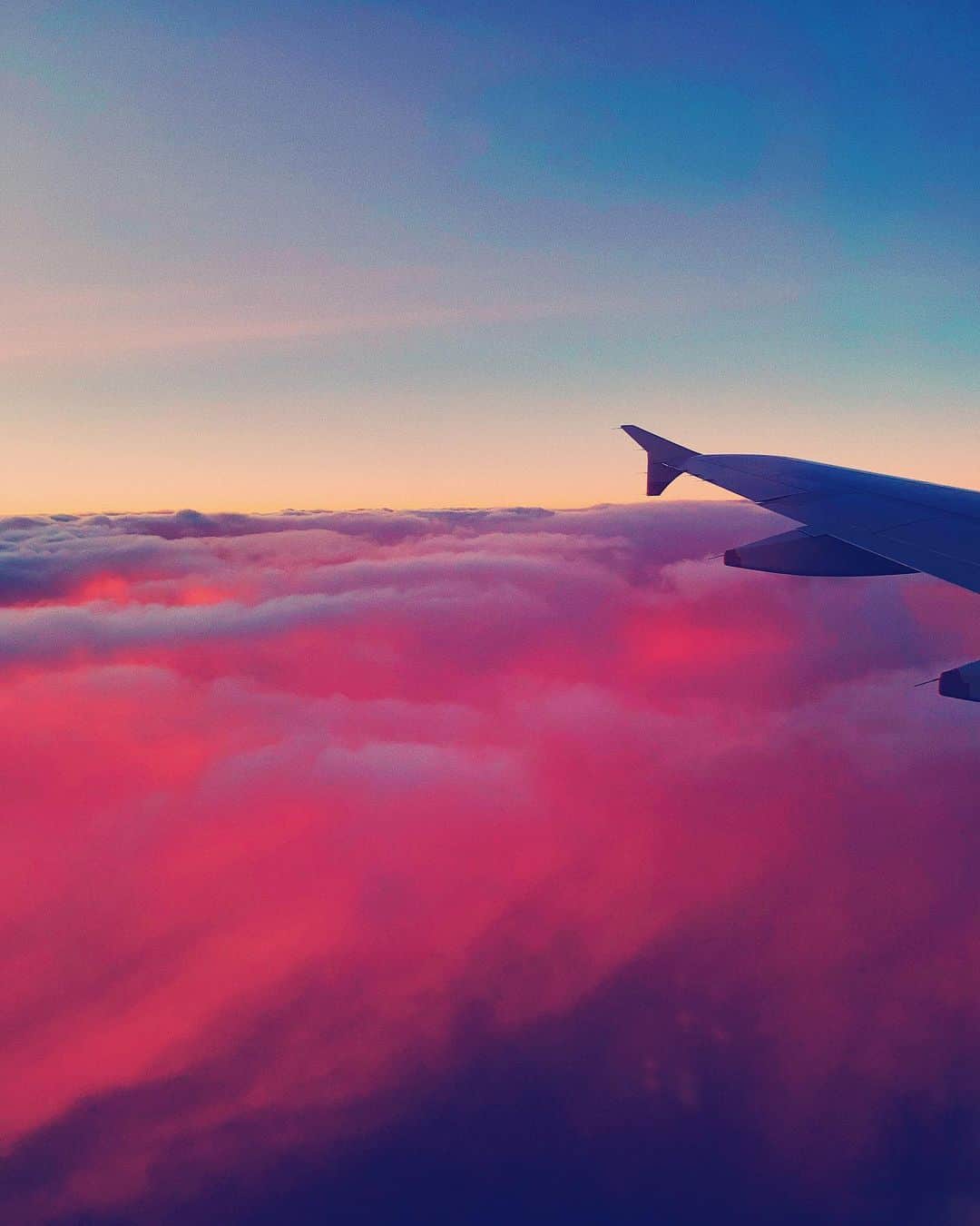 ブルーライフのインスタグラム：「wondering what to do when the long weekend’s over? plan where you’re going next 💗✈️」