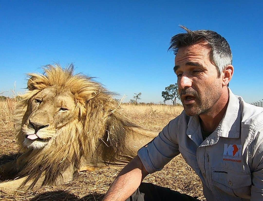 Kevin Richardson LionWhisperer さんのインスタグラム写真 - (Kevin Richardson LionWhisperer Instagram)「Trying really hard to stay focused and record a thank you video (stay tuned for what it’s about) and all Vayeste can do is take the piss! #lions #kevinrichardsonfoundation #vayetse #catswillbecats #lionswillbelions #nosilife #craghoppers #adventureshirt」7月8日 23時36分 - lionwhisperersa