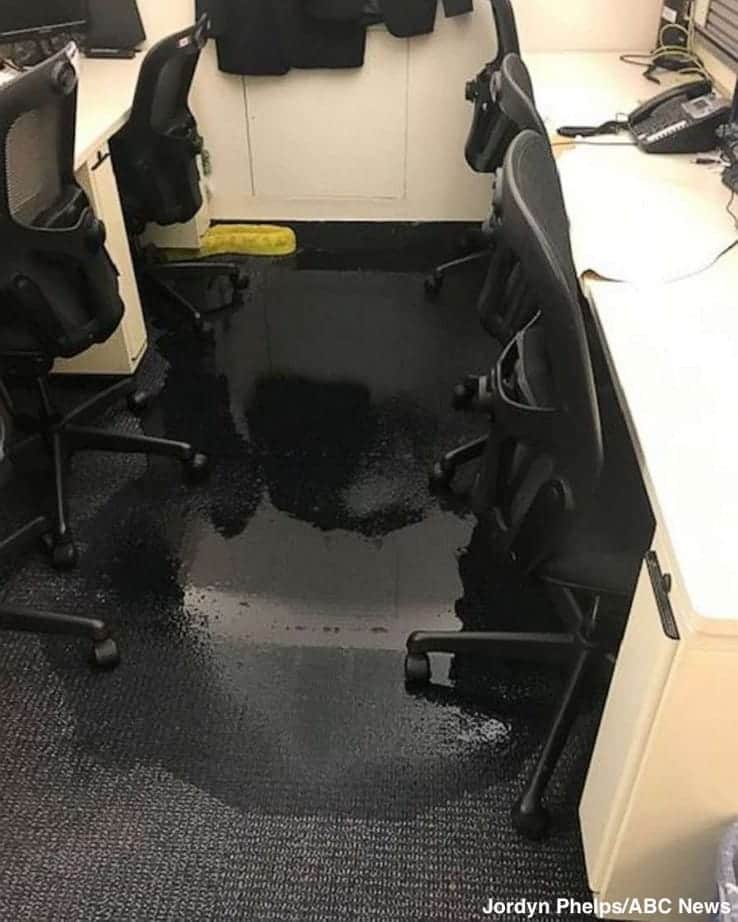 ABC Newsさんのインスタグラム写真 - (ABC NewsInstagram)「NEW: A dangerous flash flood emergency hit Washington D.C. during the Monday morning commute—and the downpour even appears to have affected the White House basement. #whitehouse #washingtondc #flashflood #weather」7月8日 23時45分 - abcnews