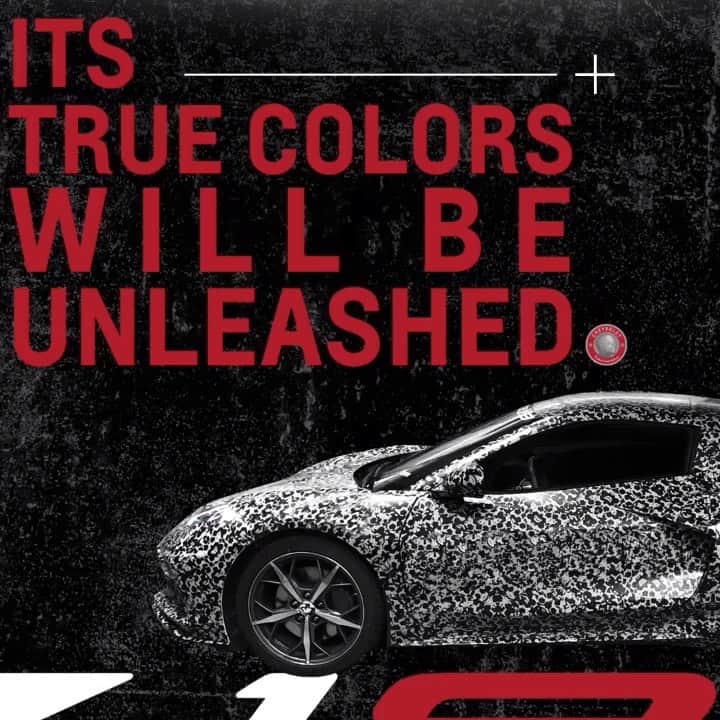 Corvetteのインスタグラム：「The Next Generation #Corvette arrives on 07.18.19. Period. #Vette」