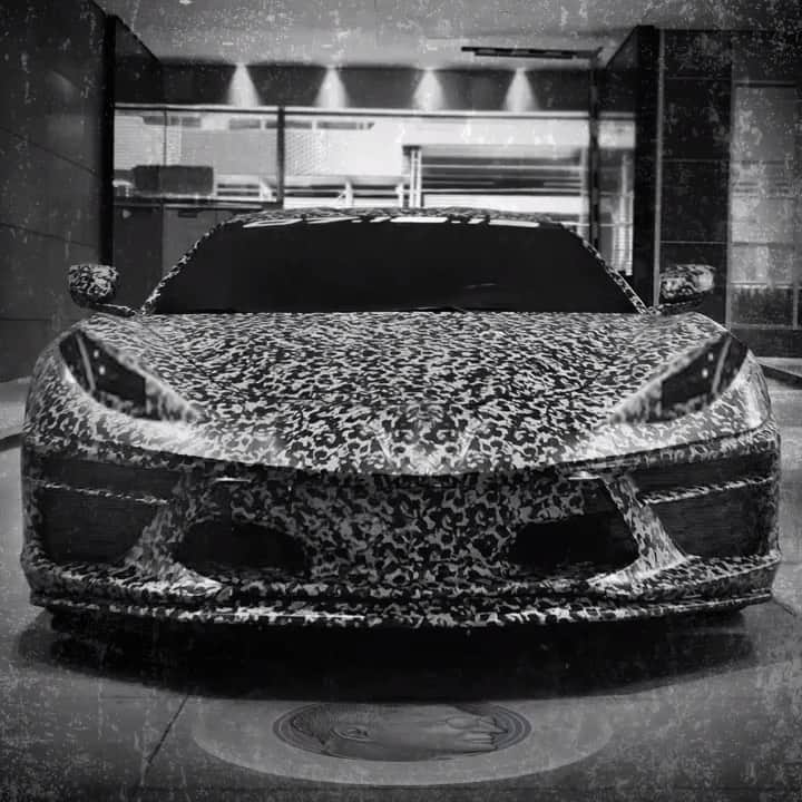 Corvetteのインスタグラム：「When the reveal is staring you down. #Corvette #Vette」