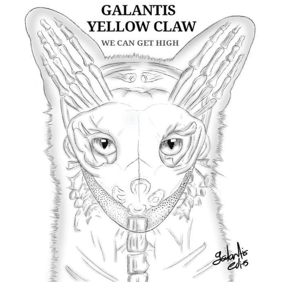 ギャランティスさんのインスタグラム写真 - (ギャランティスInstagram)「Figure 2.1 Species: Seafox; genus: Galantis 🎨: @galantis_edits」7月9日 0時40分 - wearegalantis