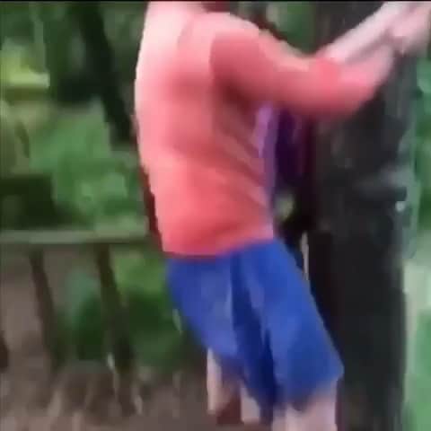 ホセ・レイエスのインスタグラム：「Por poco y no cae en el agua 😫」