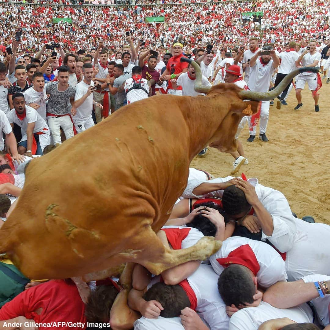 ABC Newsさんのインスタグラム写真 - (ABC NewsInstagram)「Stunning photos as a heifer bull jumps over participants in the bullring after the second bullrun of the San Fermin festival in Pamplona, Spain. #spain #bulls #bullrun #pamplona」7月9日 4時32分 - abcnews