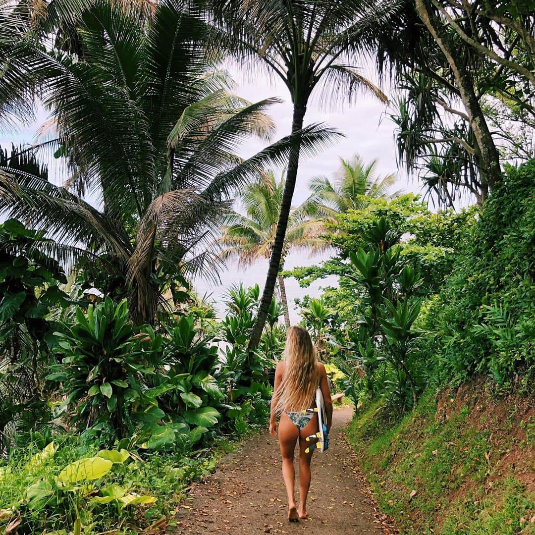 アラナ・ブランチャードさんのインスタグラム写真 - (アラナ・ブランチャードInstagram)「Hawaii vibes 🌴」7月9日 4時44分 - alanarblanchard