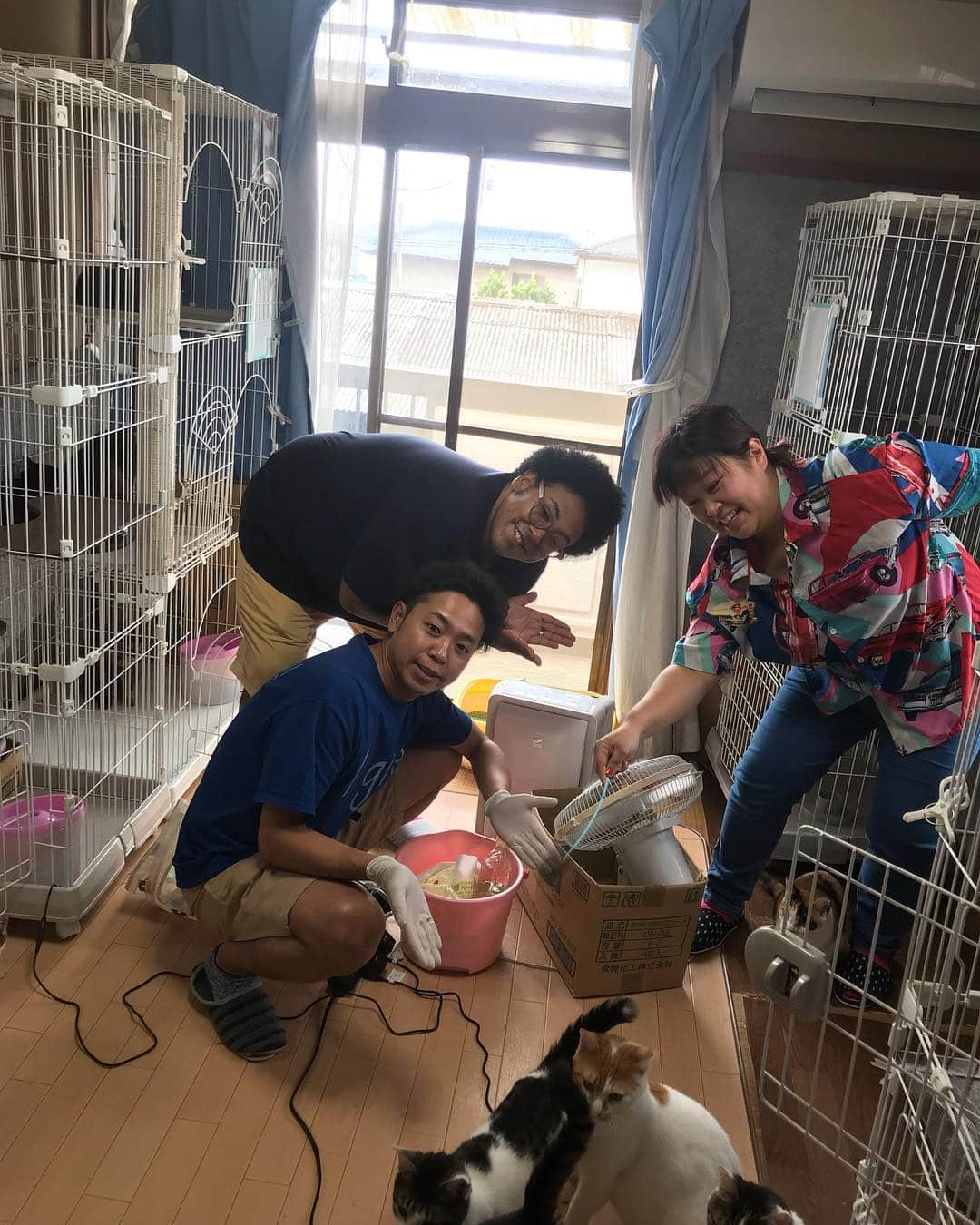 サンシャイン池崎さんのインスタグラム写真 - (サンシャイン池崎Instagram)「猫の森さんのボランティア！  #猫 #猫の森 #ハイパーチュール #保護猫 #猫活 #まんぷくフーフー #里親見つかりますように」7月9日 15時42分 - ikezaki_yeah