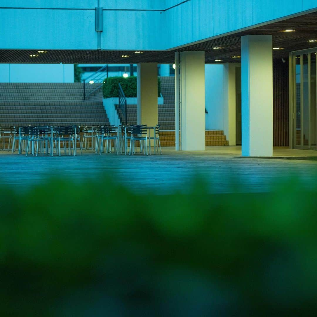 Meiji Gakuin/明治学院大学/明学さんのインスタグラム写真 - (Meiji Gakuin/明治学院大学/明学Instagram)「日が長いとなんだか嬉しい気分です。  #景色 #青 #ブルー #ブルーモーメント #夕暮れ #横浜 #大学 #大学生 #明学 #学生 #カメラ #写真 #ファインダー越しの私の世界 #明治学院大学 #blue #meijigakuin #university #yokohama #photo # #japan #instagood」7月9日 15時44分 - mguniv